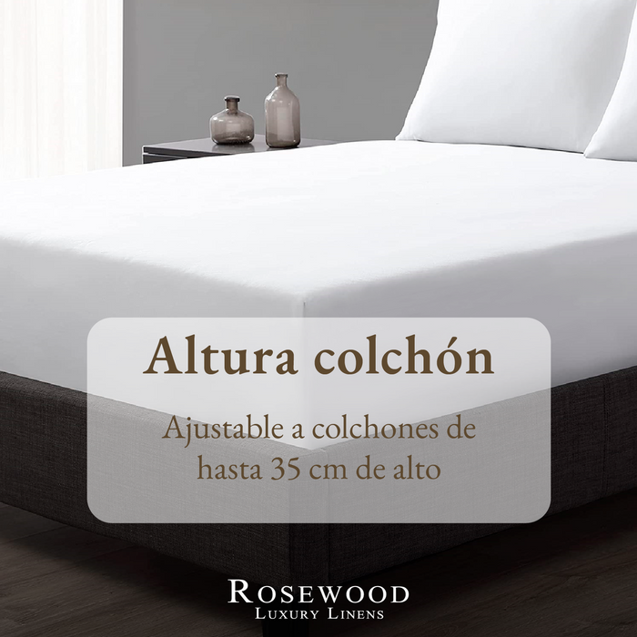 png_1500x1500_65165971