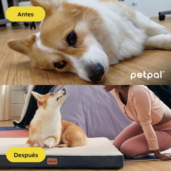 jpg_1500x1500_65434078