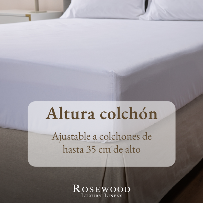 png_1500x1500_65191428