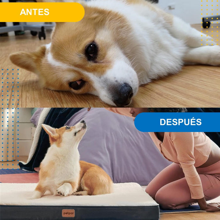 JPG_1500x1500_69206002